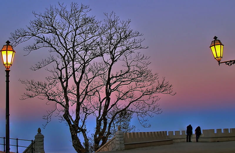 Vecchio Albero