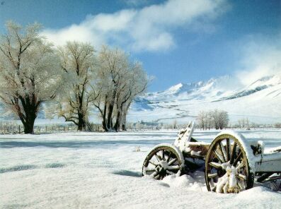 Vecchio carro sotto la neve