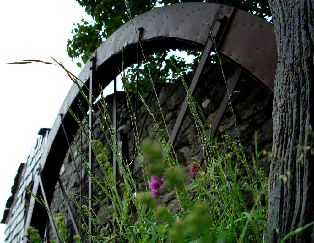 ..vecchio mulino - VILLA CELLA di roberto de ferrari 