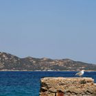 Vecchio pontile (Arcipelago La Maddalena)