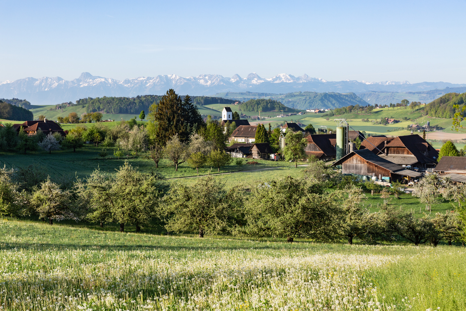 Vechigen im Frühjahr...