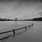 *** Vechte Hochwasser Weihnachten 2023 ***