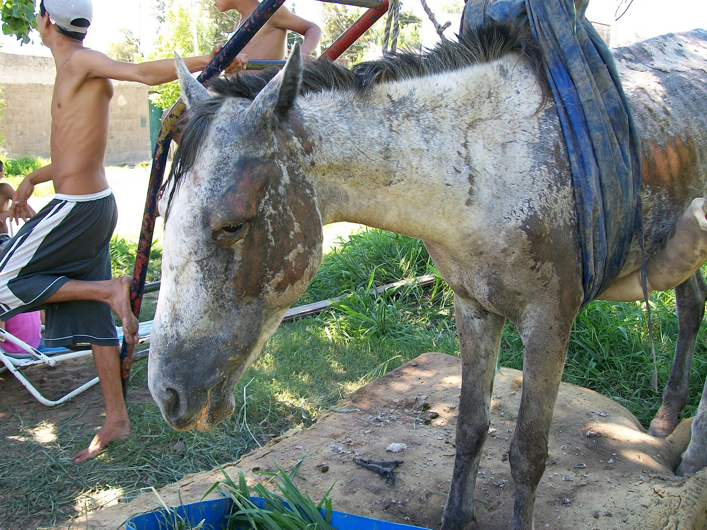 vecinos solidarios