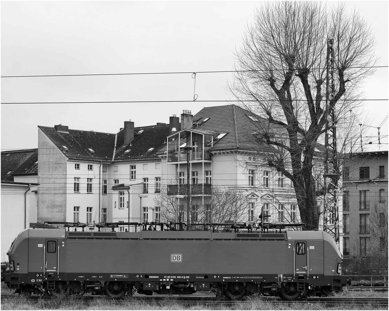 Vectron und der Baum