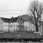 Vectron und der Baum