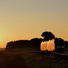 Vectus-Dieseltriebwagen BR 648 im Sonnenuntergang bei Hachenburg