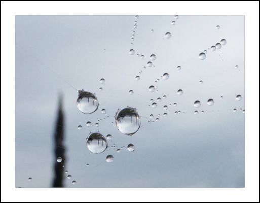 .vedo.un mondo capovolto.