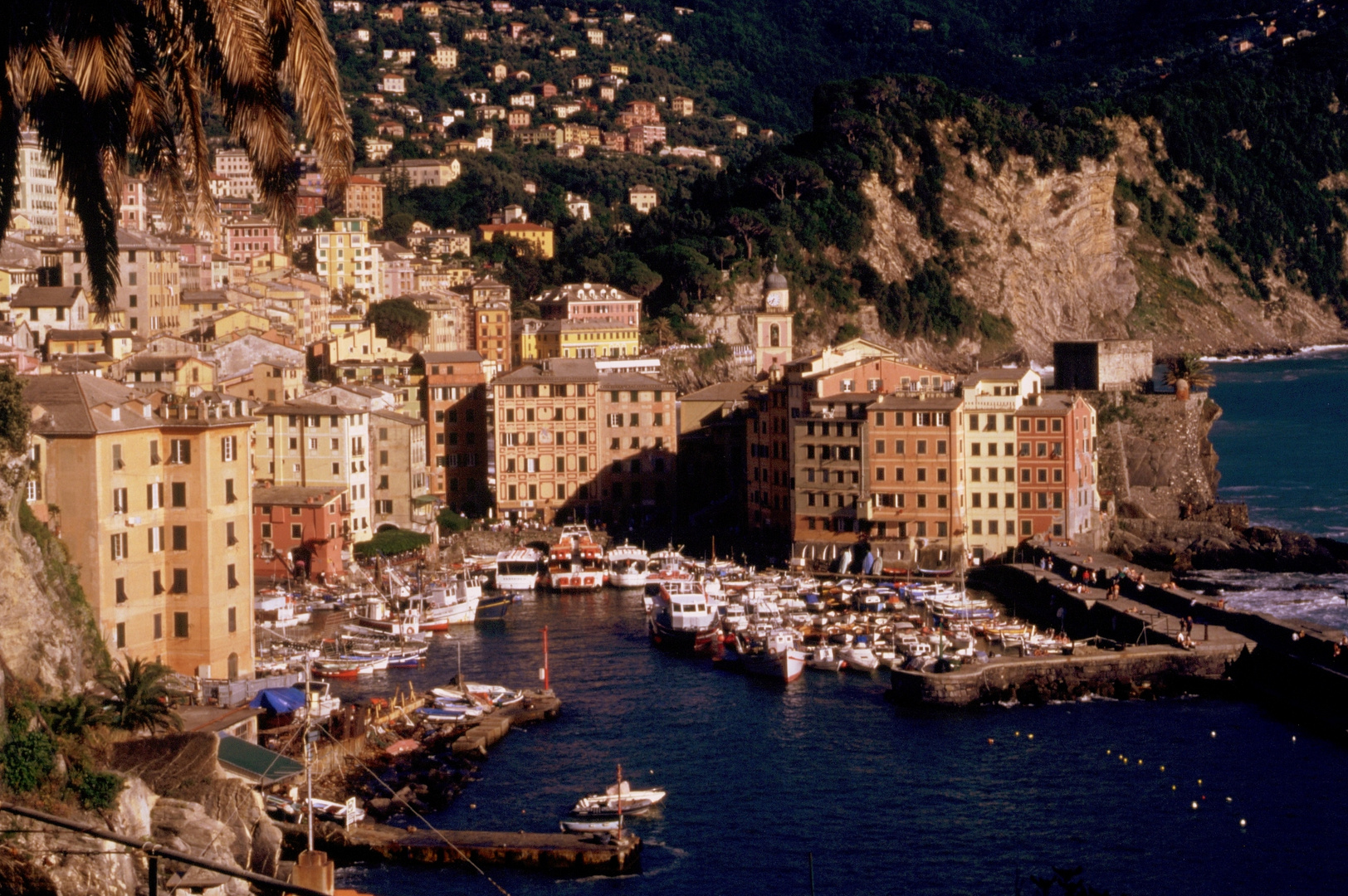 Veduta di Camogli