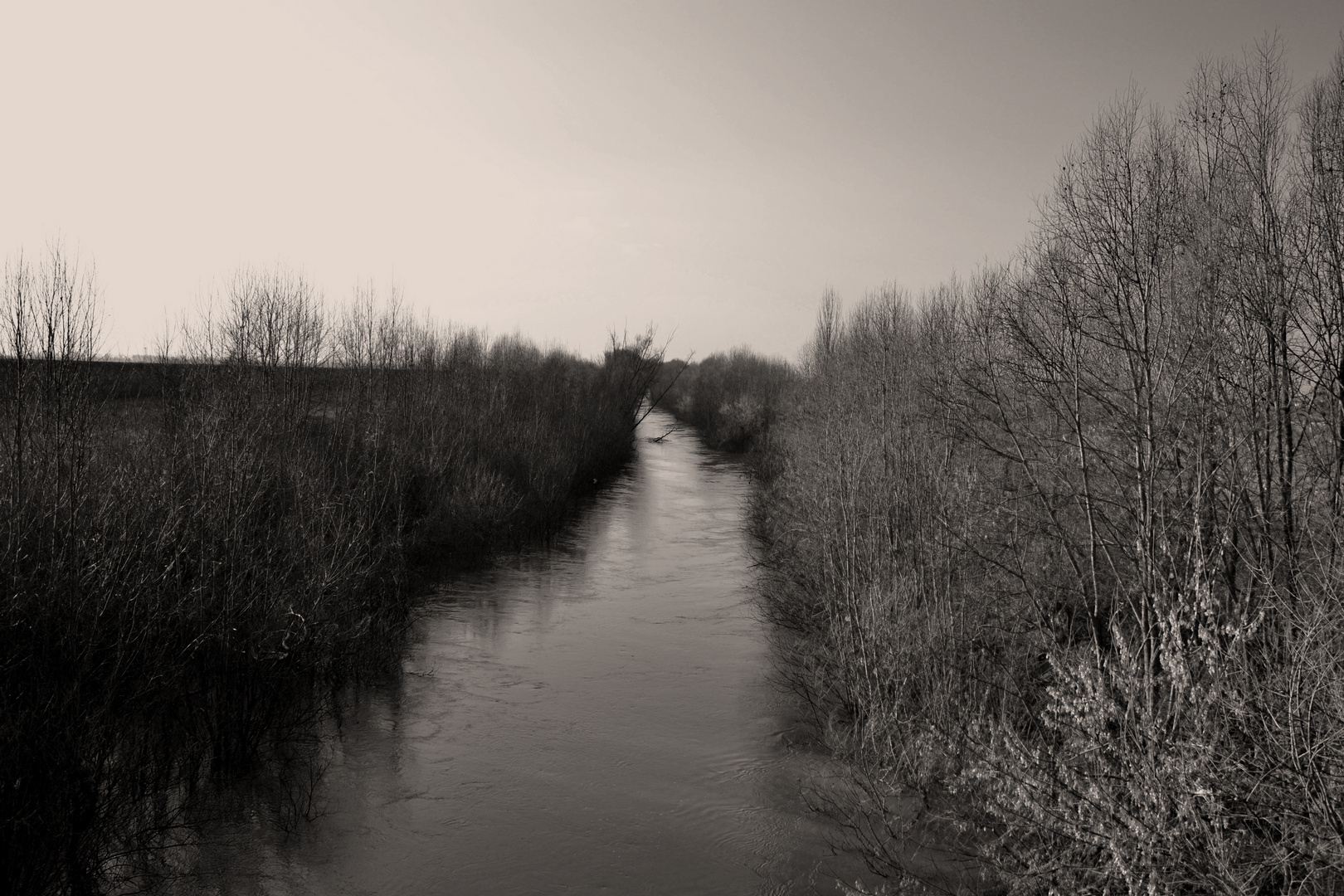 Veduta sul fiume Reno