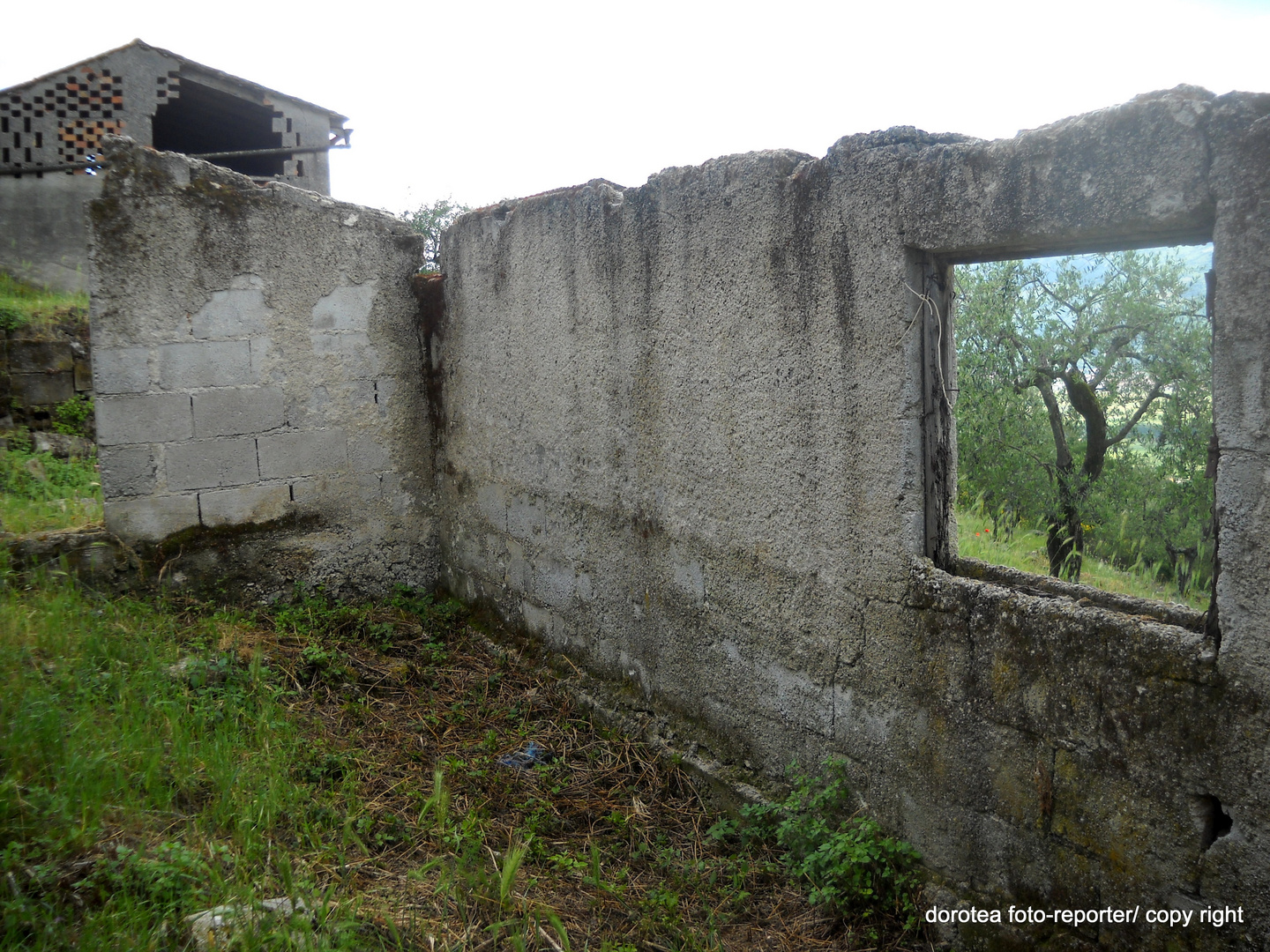 vedute dalle rovine