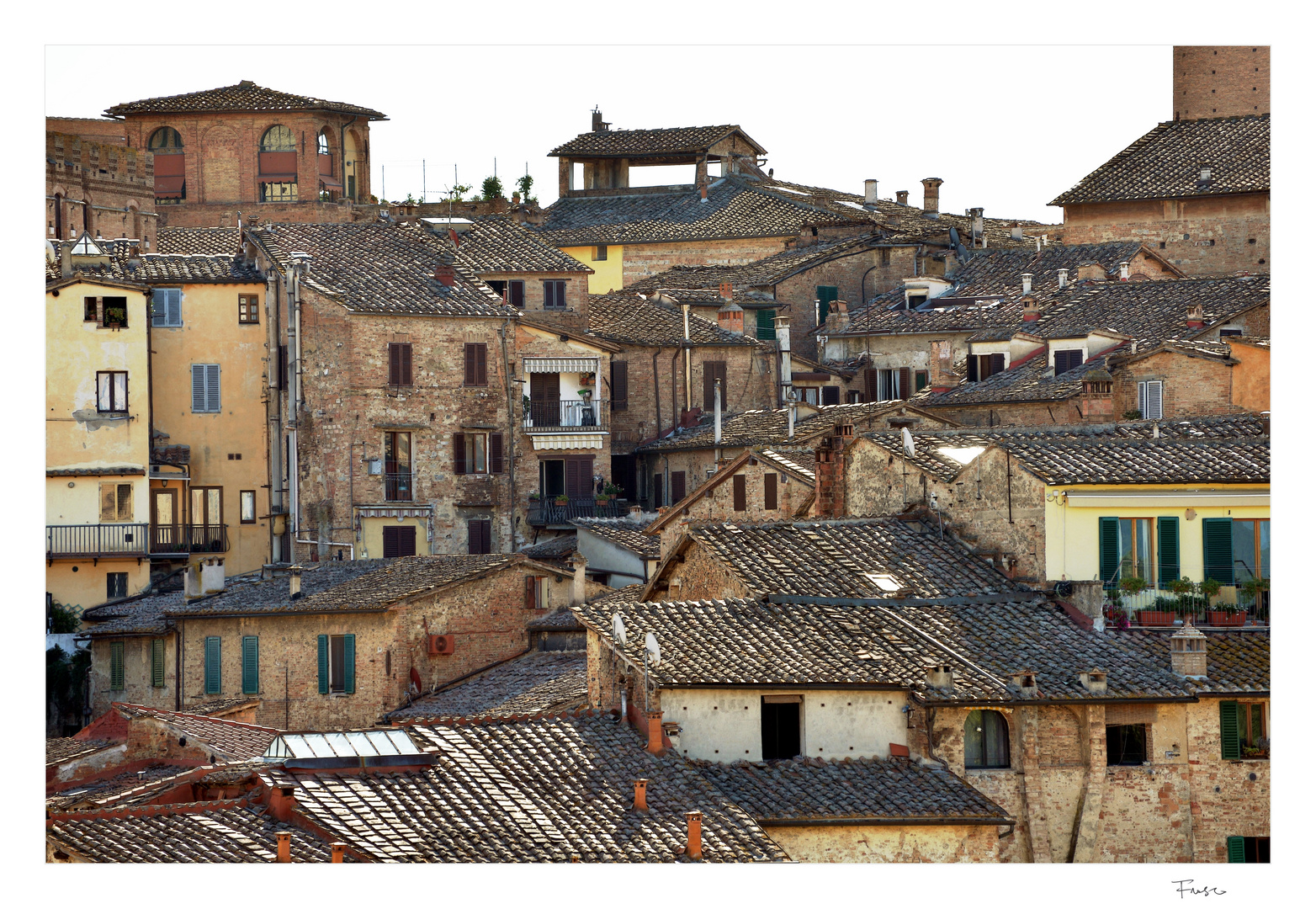 vedute senesi