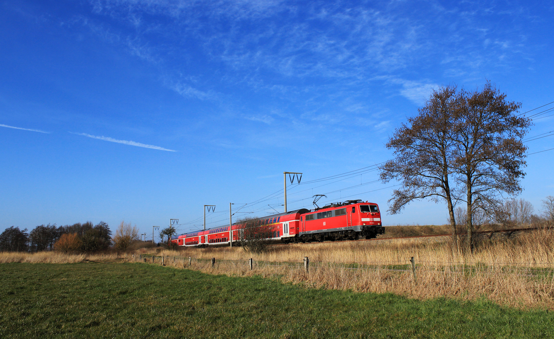 Veenhuser Fotobäume