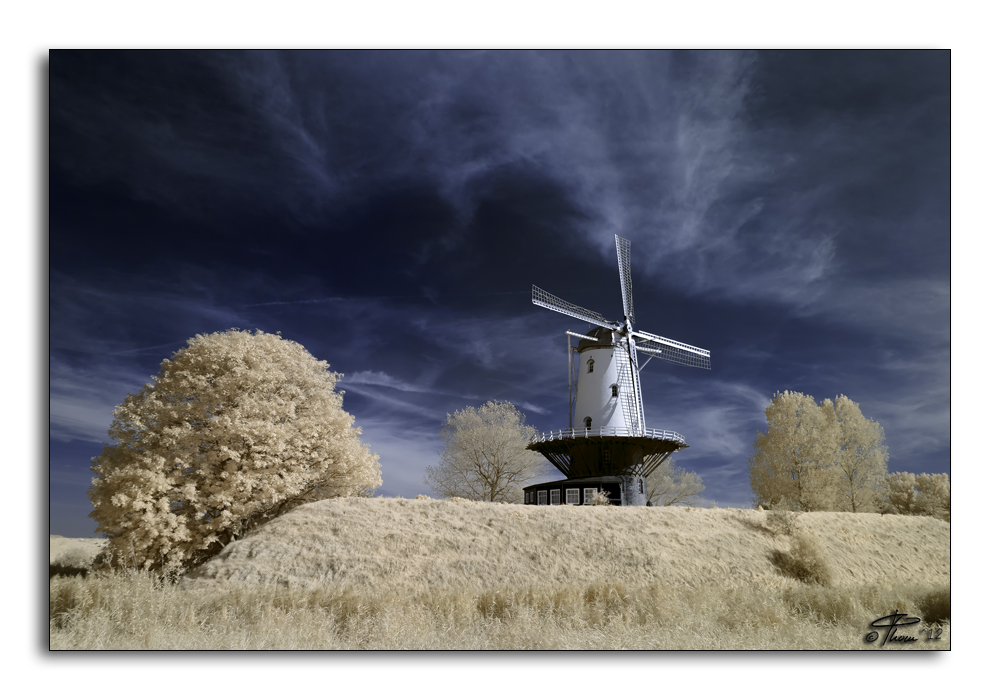 Veere - Molen