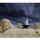 Veere - Molen