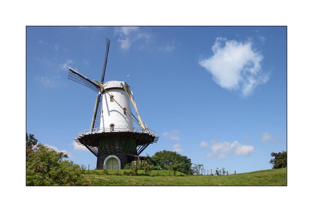 Veere - Zeeland *Die Windmühle am Deich*