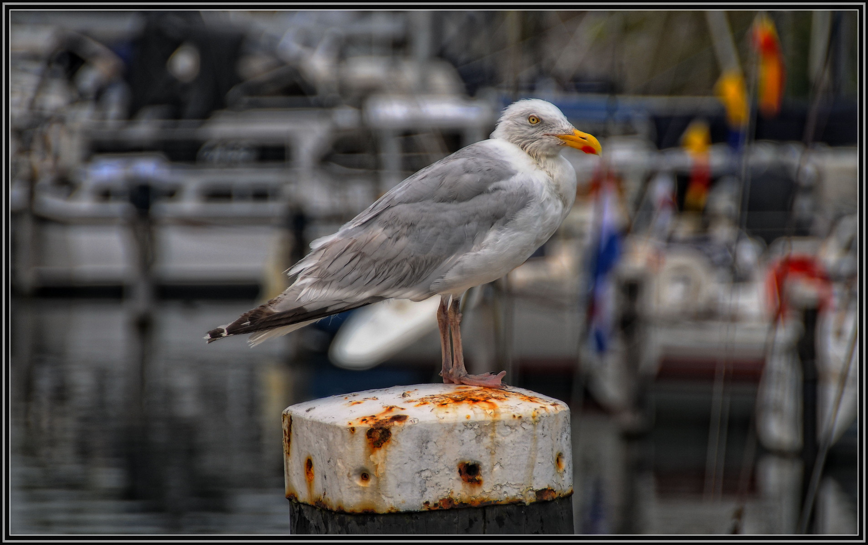 Veere/NL - Im Hafen