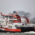 Veerhaven IV - Neushoorn