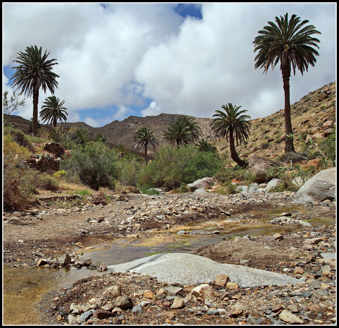 Vega de Rio de las Palmas - 2