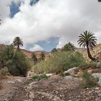 Vega de Río de las Palmas