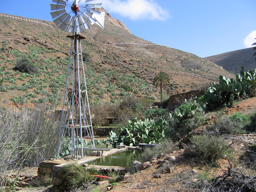 Vega de Rio Palmas