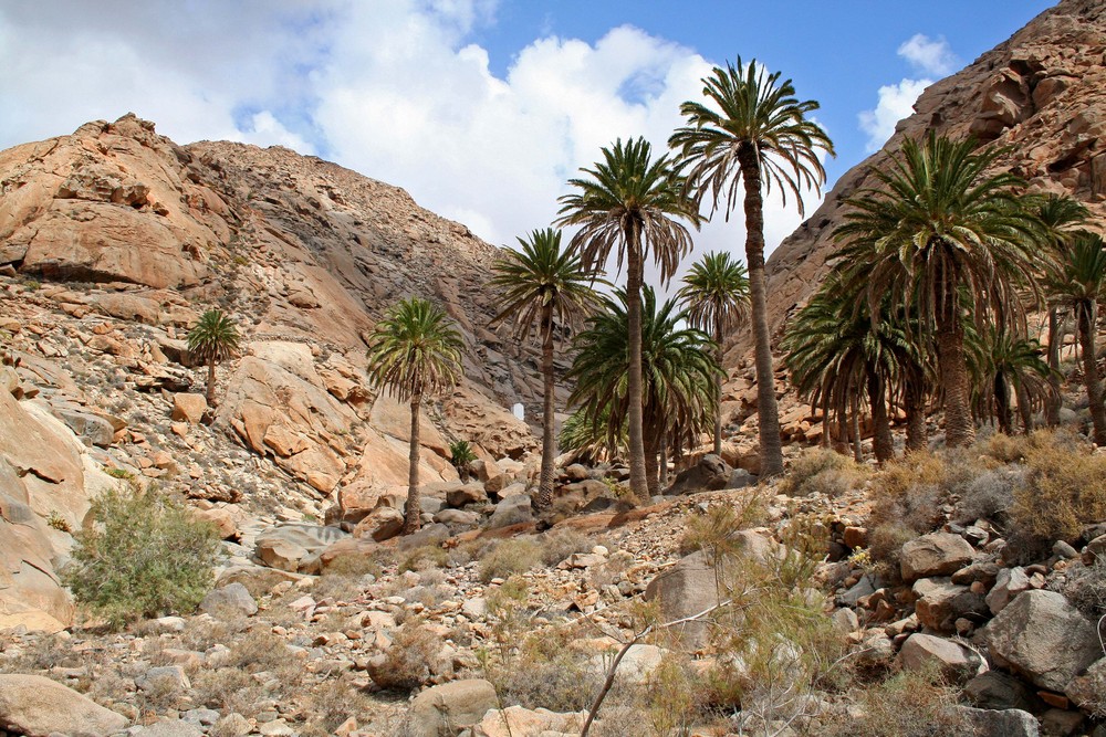 Vega de Rio Palmas