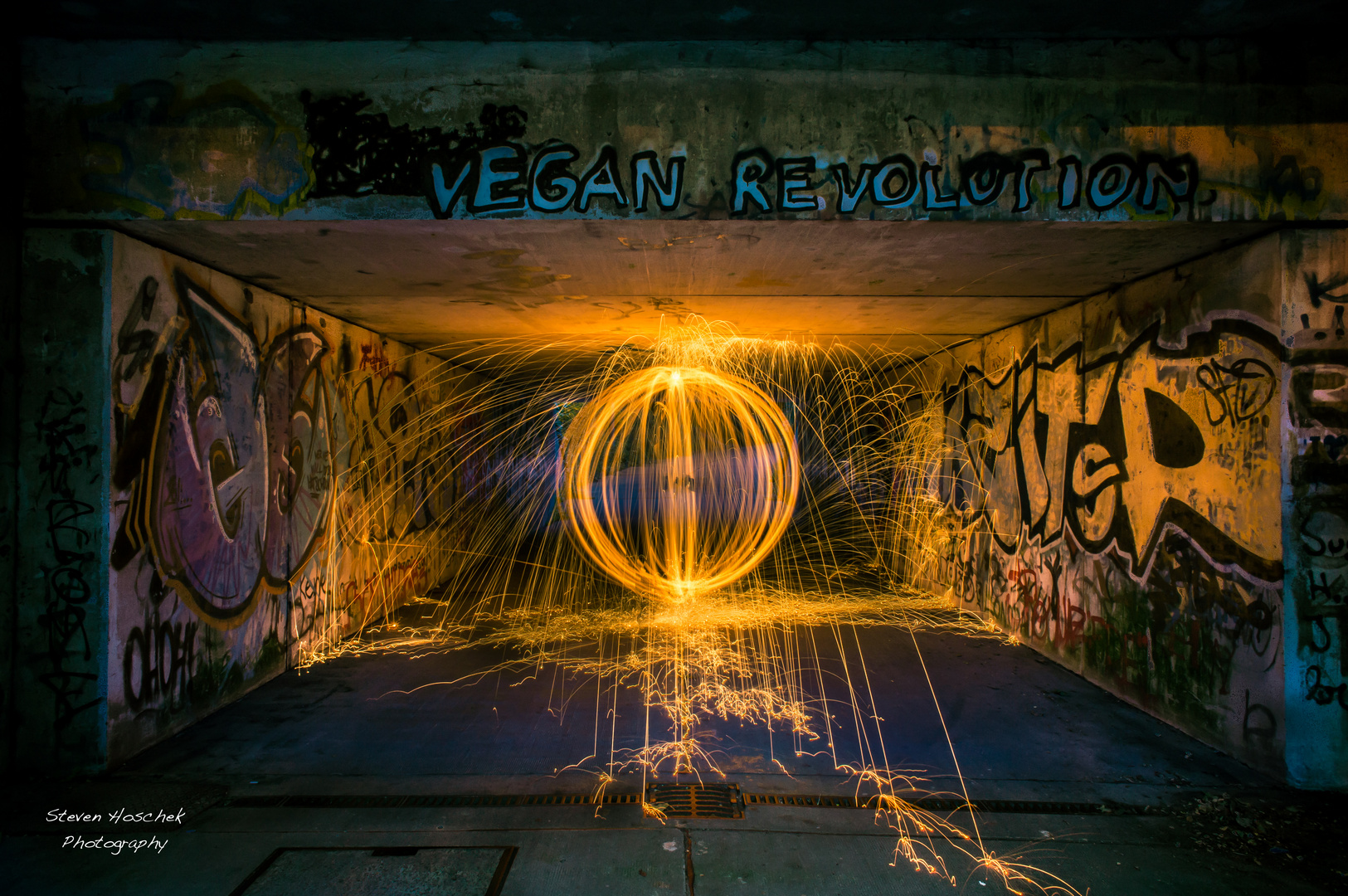 Vegan Revolution