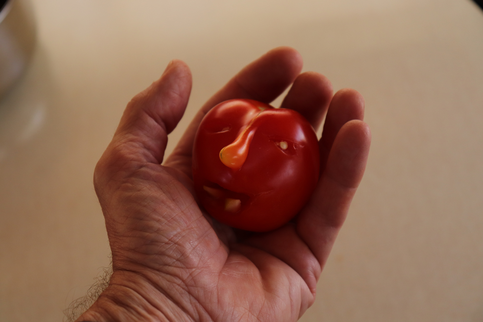   Vegane Begegnungen: Die Tomate hat auch Gefühle