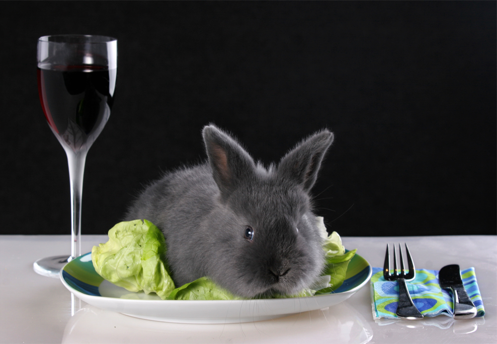 Vegetarier essen meinem Essen das Essen weg!