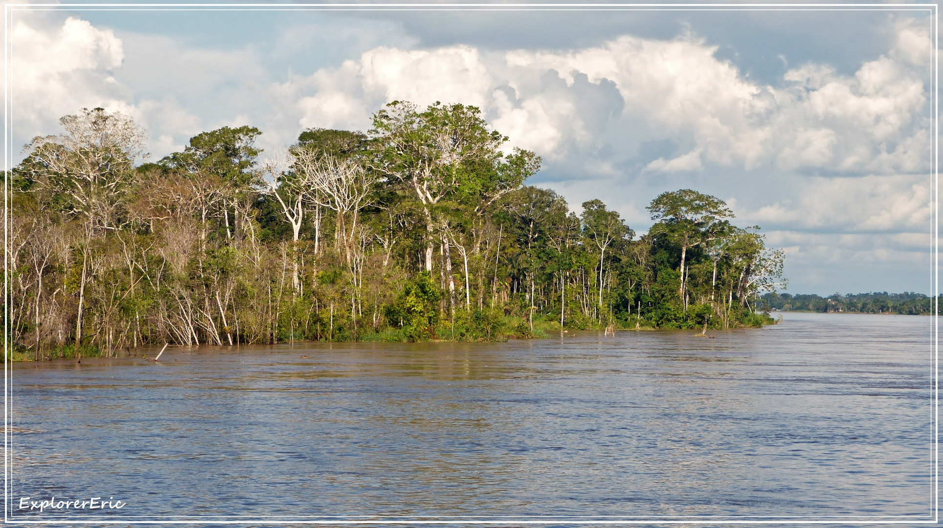 Vegetation am Amazonas-Ufer...............