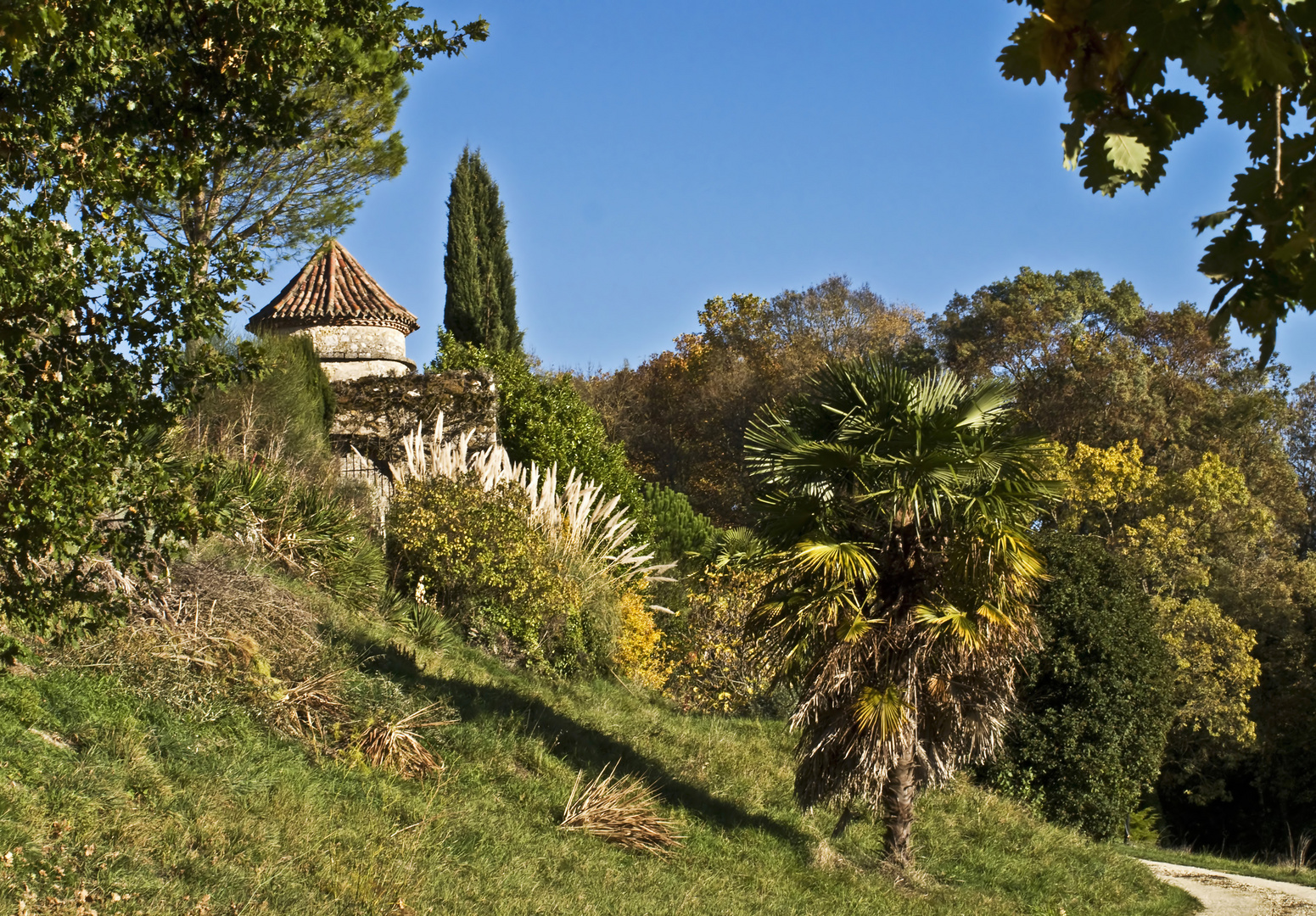 Végétation gersoise près du Château de Peyriac - Vegetation in dem Gers nahe dem Château von Peyriac