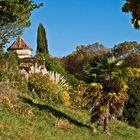 Végétation gersoise près du Château de Peyriac - Vegetation in dem Gers nahe dem Château von Peyriac