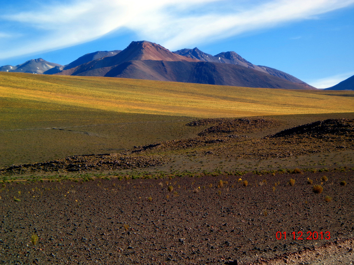 Vegetation in der Atacamawüste bei der Anfahrt zum Cerro de Azufre