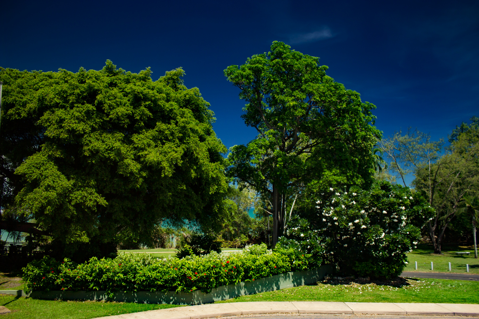 Vegetation, Parking Lot, Museum and Art Gallery of the Northern Territory