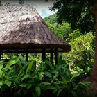 Végétation tropicale dans le jardin de l’Hôtel Evasion à Sarraméa