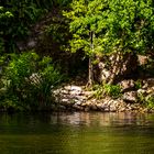 Vegetation @ Wangi Falls