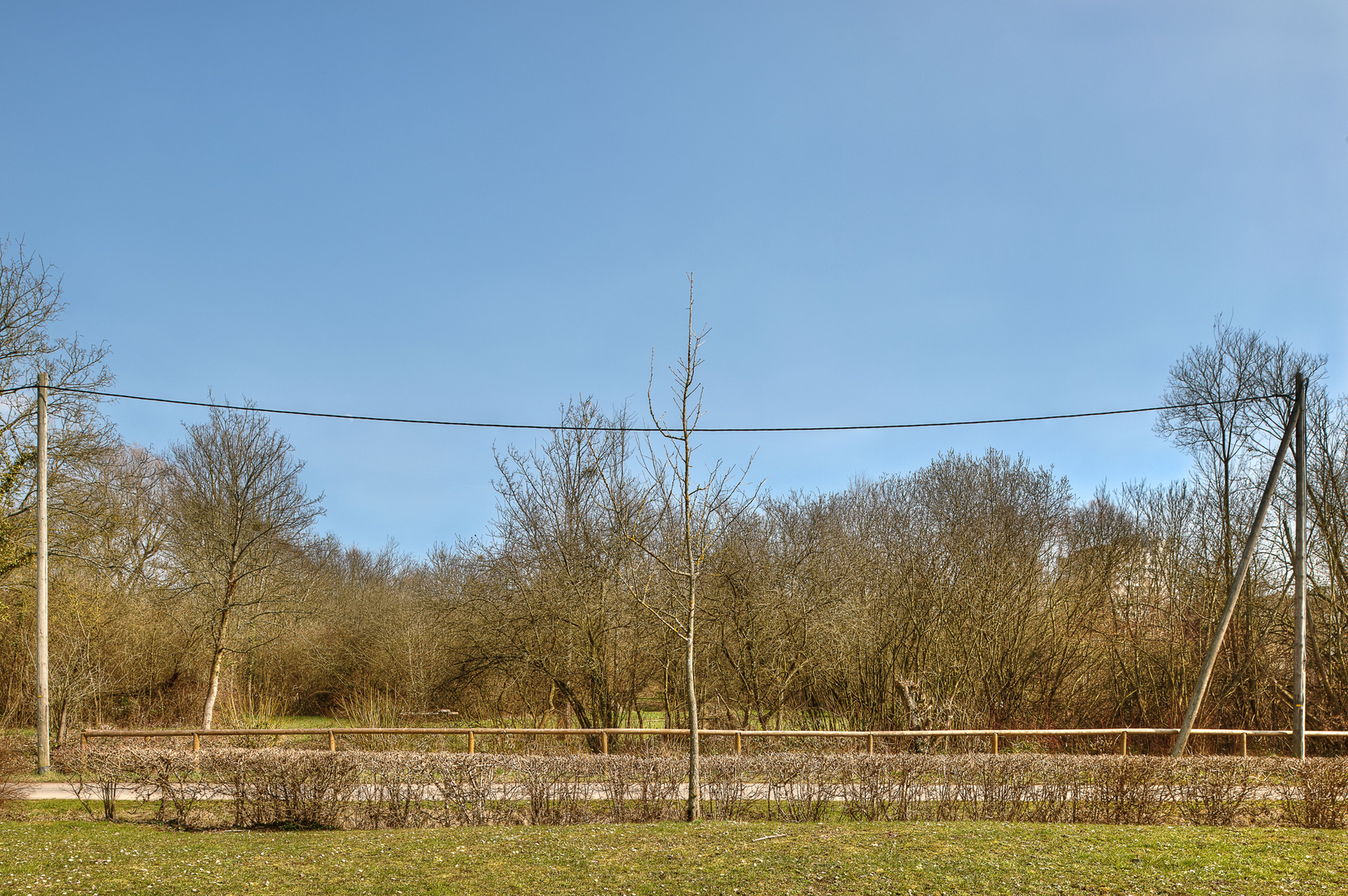 Vegetation, Wiesbaden