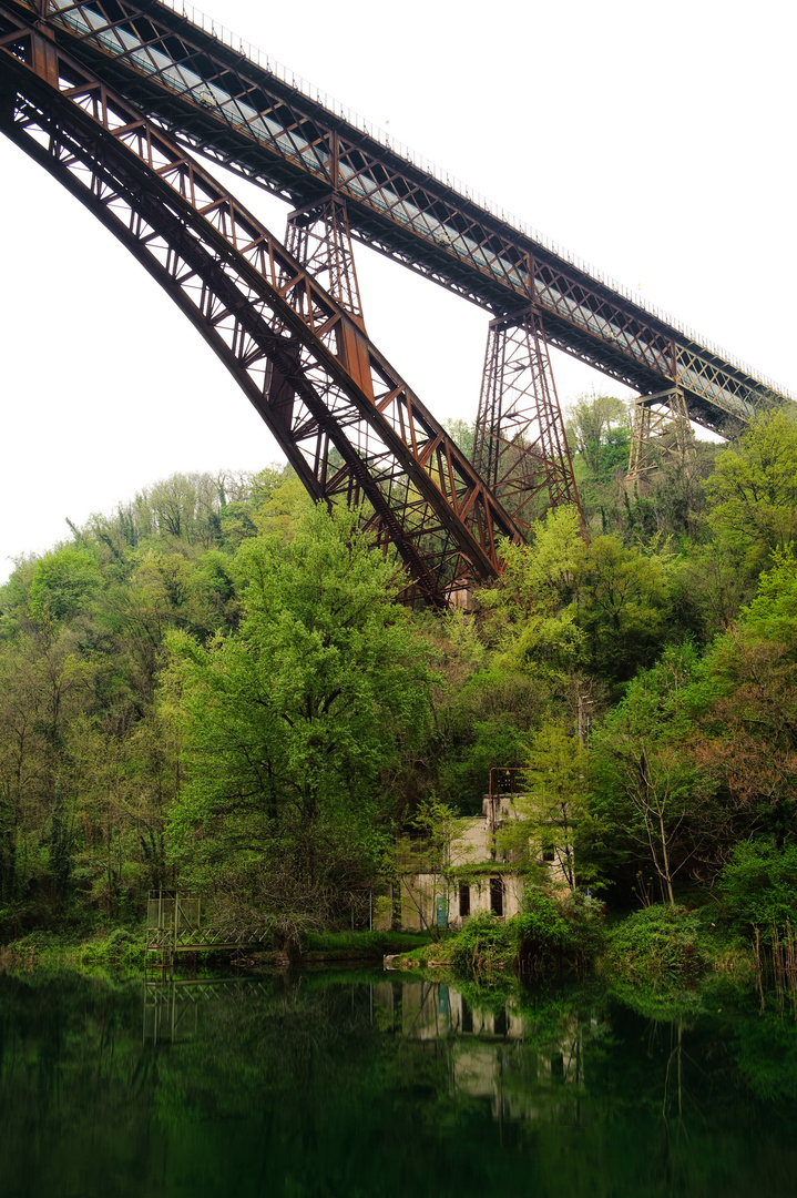 Vegetazione e Ponte