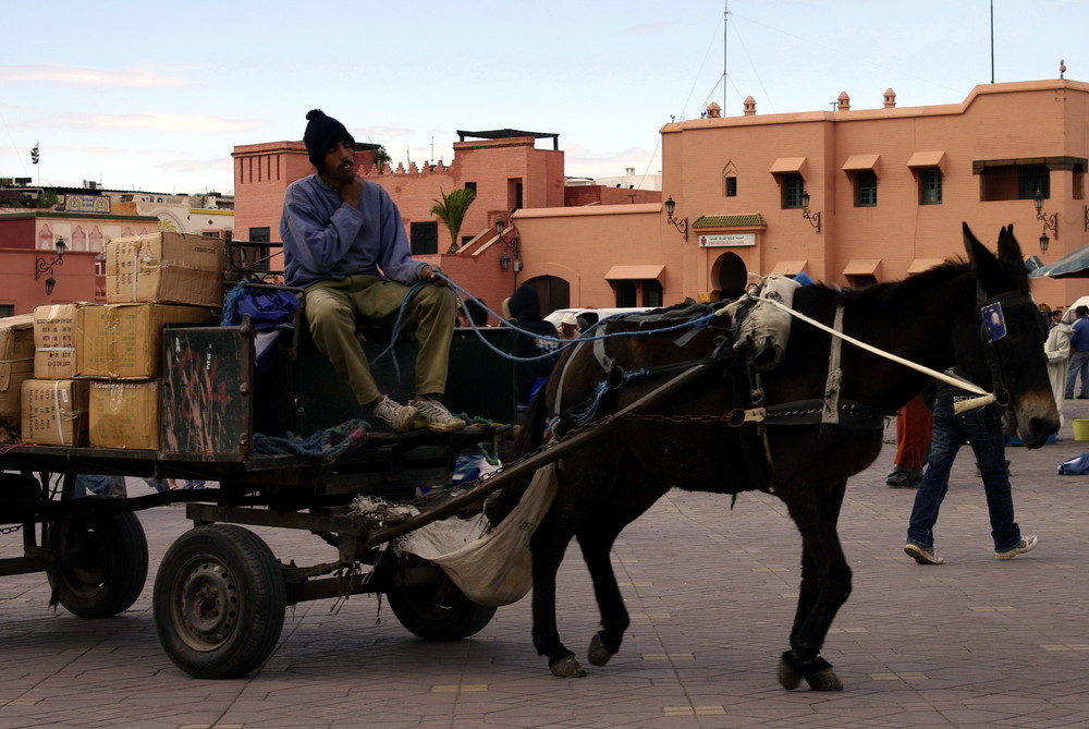 VEHICULE UTILITAIRE