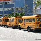 Véhicules Scolaire à New-York