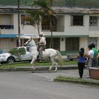 Vehiculos Blancos