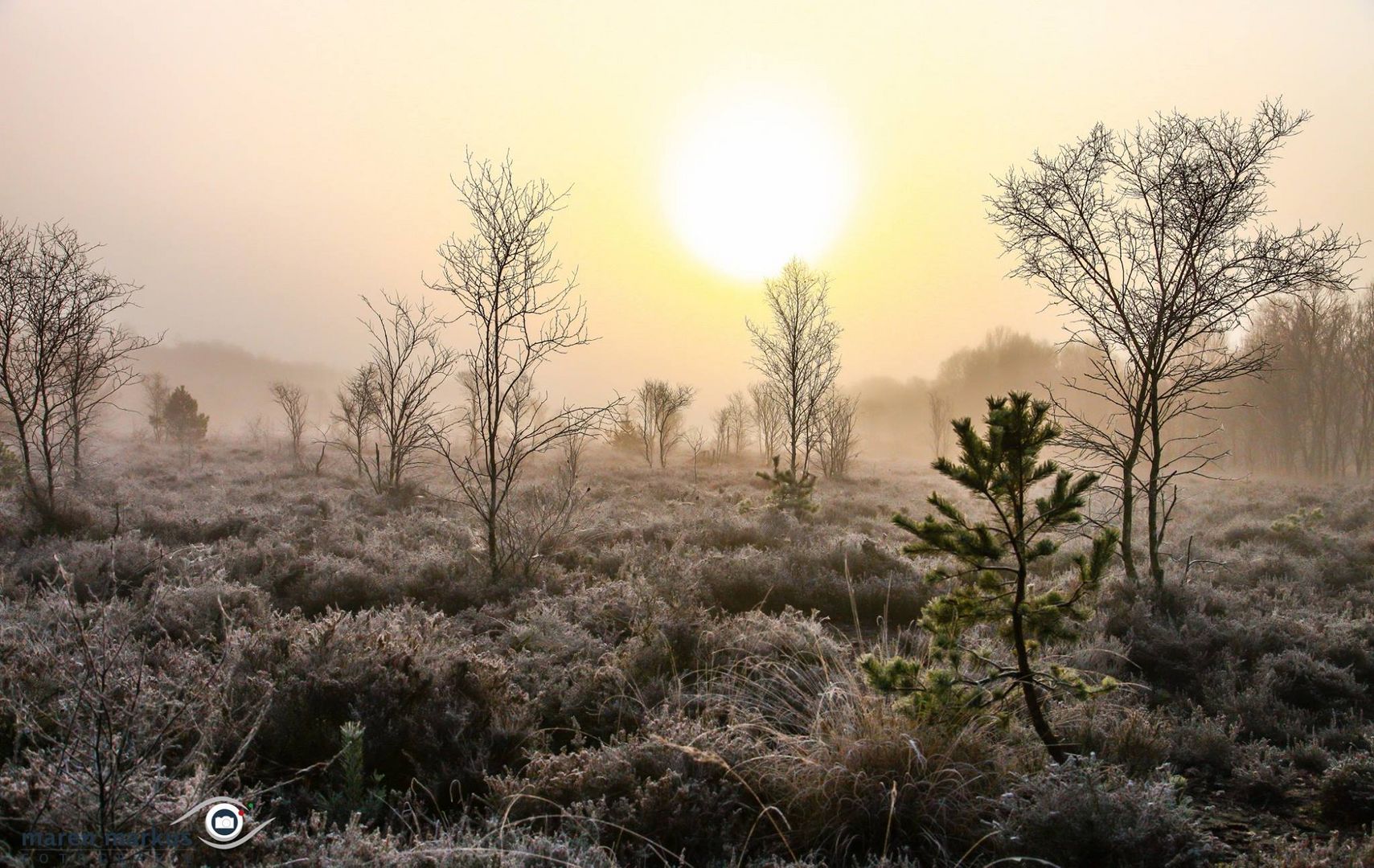 Vehnemoor morgens um 08.00 Uhr