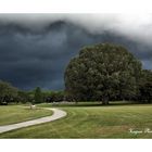 Veille d'orage à Brookgreen Gardens