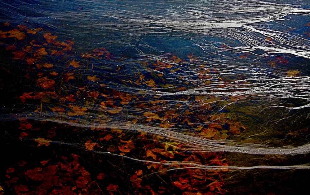 Veils on water