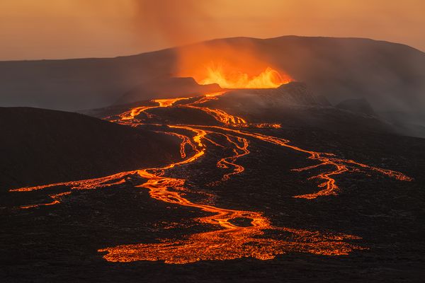 [ ... veins of life ]