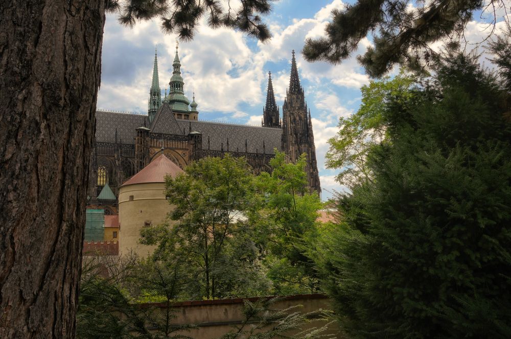 Veits  Dom Prag