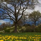 Veitsbronn im Frühling