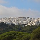 Vejer de la Frontera