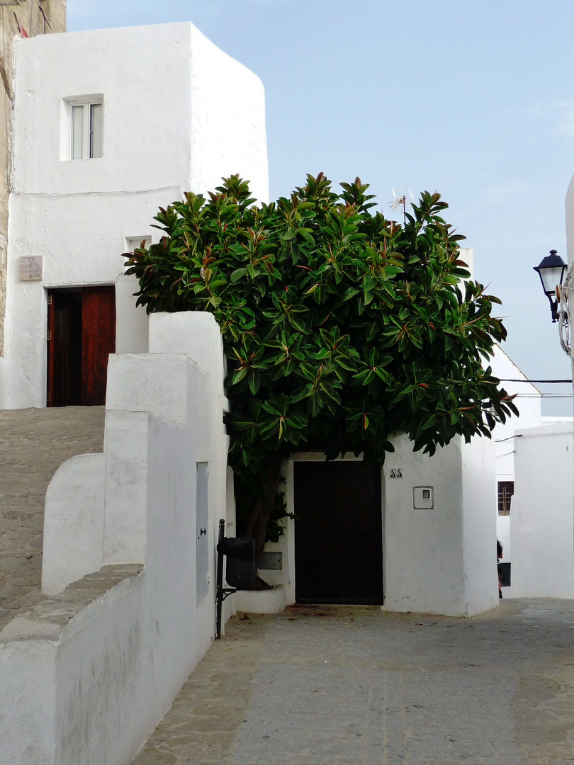 VEJER de la FRONTERA 4