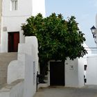 VEJER de la FRONTERA 4