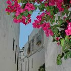 Vejer de la Frontera